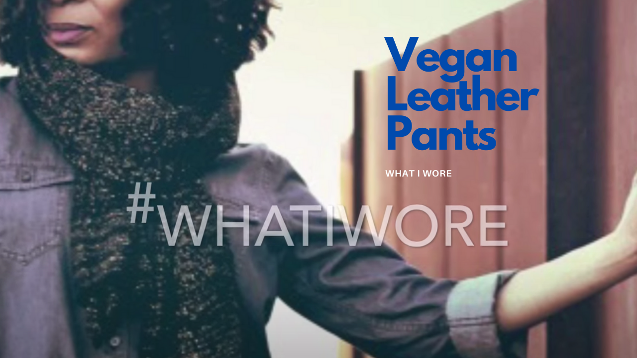 (2014) Vegan Leather Pants